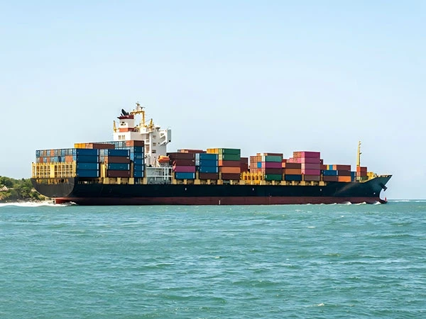 Ddp Sea Shipping From China To Vietnam FBA