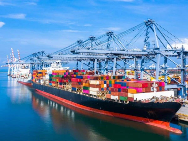 Professional Sea Freight Services | Reliable Global Ocean Shipping Solutions