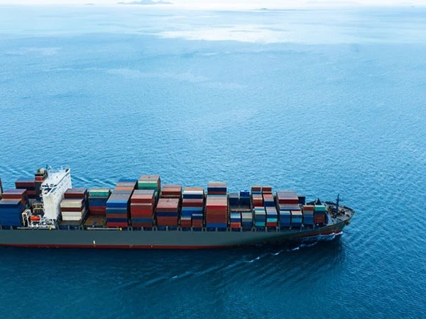 Sea Freight China To Vietnam Amazon FBA factory