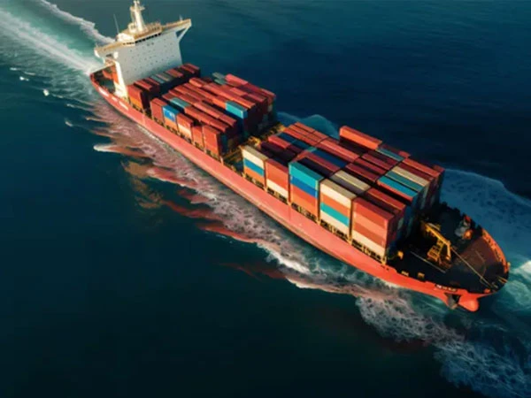 Sea Freight Forwarder DDP China To Southeast Asia